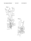 Plate Holding Bone Forceps and Method of Use diagram and image