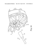 TRANSAPICAL DELIVERY DEVICE AND METHOD OF USE diagram and image