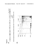 Efficient Insertion of DNA Into Embryonic Stem Cells diagram and image