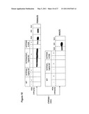 Efficient Insertion of DNA Into Embryonic Stem Cells diagram and image