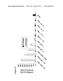 Efficient Insertion of DNA Into Embryonic Stem Cells diagram and image