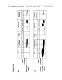 Efficient Insertion of DNA Into Embryonic Stem Cells diagram and image