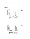 Efficient Insertion of DNA Into Embryonic Stem Cells diagram and image