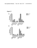 Efficient Insertion of DNA Into Embryonic Stem Cells diagram and image