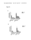 Efficient Insertion of DNA Into Embryonic Stem Cells diagram and image