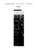 GENES AND METHODS FOR INCREASING DISEASE RESISTANCE IN PLANTS diagram and image