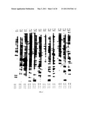 CLONING OF NOVEL GENE SEQUENCES EXPRESSED AND REPRESSED DURING WINTER DORMANCY IN THE APICAL BUDS OF TEA diagram and image