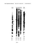 CLONING OF NOVEL GENE SEQUENCES EXPRESSED AND REPRESSED DURING WINTER DORMANCY IN THE APICAL BUDS OF TEA diagram and image