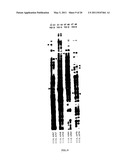 CLONING OF NOVEL GENE SEQUENCES EXPRESSED AND REPRESSED DURING WINTER DORMANCY IN THE APICAL BUDS OF TEA diagram and image