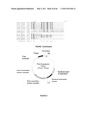 Plants Having Enhanced Yield-Related Traits and a Method for Making the Same diagram and image