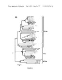 Plants Having Enhanced Yield-Related Traits and a Method for Making the Same by Overexpressing a Polynucleotide Encoding a TFL1-Like Protein diagram and image