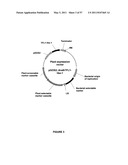 Plants Having Enhanced Yield-Related Traits and a Method for Making the Same by Overexpressing a Polynucleotide Encoding a TFL1-Like Protein diagram and image