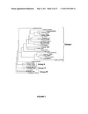 Plants Having Enhanced Yield-Related Traits and a Method for Making the Same by Overexpressing a Polynucleotide Encoding a TFL1-Like Protein diagram and image