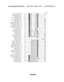 Plants Having Enhanced Yield-Related Traits and a Method for Making the Same by Overexpressing a Polynucleotide Encoding a TFL1-Like Protein diagram and image