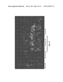 DYNAMIC REFERENCE FRAME REORDERING FOR FRAME SEQUENTIAL STEREOSCOPIC VIDEO ENCODING diagram and image