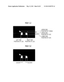 VEHICLE PERIPHERY MONITORING DEVICE diagram and image