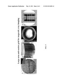 METHOD AND APPARATUS FOR X-RAY RADIOGRAPHIC IMAGING diagram and image