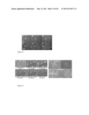 MATHEMATICAL IMAGE ANALYSIS BASED CELL REPROGRAMMING WITH APPLICATIONS FOR EPIGENETIC AND NON-EPIGENETIC BASE INDUCED PLURIPOTENT STEM CELL DERIVATION diagram and image