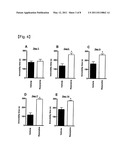 DISEASE ANIMAL MODEL FOR CHRONIC PAIN diagram and image