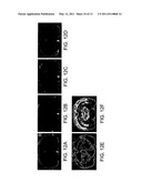 Functionalized Magnetic Nanoparticles and Methods of Use Thereof diagram and image