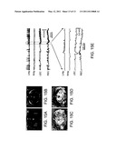 Functionalized Magnetic Nanoparticles and Methods of Use Thereof diagram and image