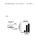 Methods of Treating Hepatitis C Virus Infection diagram and image