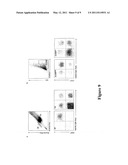 Methods for Detecting and Monitoring Circulating Cancer Stem Cells diagram and image