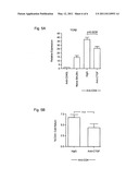 Compound and method for treatment of chronic transplant rejection diagram and image