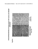 Heparin-Binding Epidermal Growth Factor-like Growth Factor Binding Proteins diagram and image