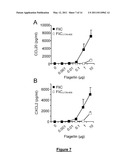 Novel Immunoadjuvant Flagellin-Based Compounds and Use Thereof diagram and image