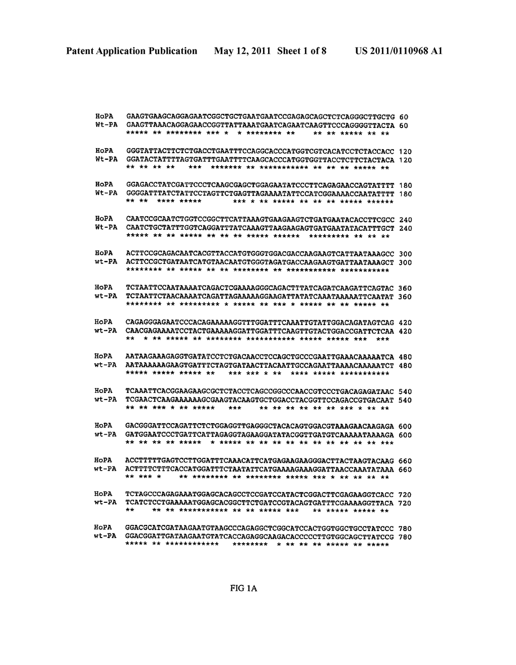 Human optimized Bacillus anthracis protective antigen - diagram, schematic, and image 02