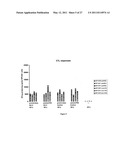 METHODS AND KITS FOR INDUCING A CTL RESPONSE USING A PRIME BOOST REGIMEN diagram and image