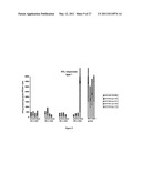 METHODS AND KITS FOR INDUCING A CTL RESPONSE USING A PRIME BOOST REGIMEN diagram and image