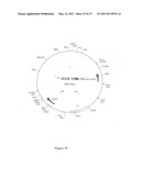 METHODS AND KITS FOR INDUCING A CTL RESPONSE USING A PRIME BOOST REGIMEN diagram and image