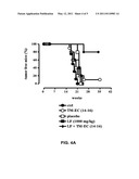 LACTOFERRIN AS AN ADJUVANT IN CANCER VACCINES diagram and image