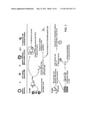 USE OF IMMUNOGENIC COMPOSITIONS FOR THE TREATMENT OR PREVENTION OF PATHOGEN INFECTIONS diagram and image