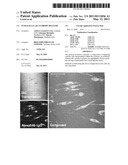 INTRACELLULAR ANTIBODY DELIVERY diagram and image