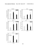 BMP-7 FOR USE IN TREATING VASCULAR SCLEROSIS diagram and image