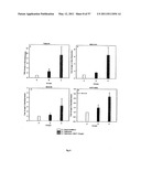 BMP-7 FOR USE IN TREATING VASCULAR SCLEROSIS diagram and image