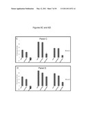 METHODS FOR PREVENTING AND TREATING NEURODEGENERATIVE DISEASES diagram and image