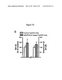 METHODS FOR PREVENTING AND TREATING NEURODEGENERATIVE DISEASES diagram and image