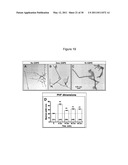 METHODS FOR PREVENTING AND TREATING NEURODEGENERATIVE DISEASES diagram and image