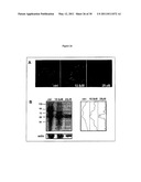 METHODS FOR PREVENTING AND TREATING NEURODEGENERATIVE DISEASES diagram and image