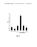 RECOVERY OF HYDROPHOBIC PEPTIDES FROM OILS diagram and image