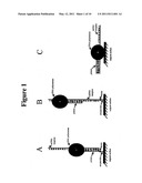 METHOD FOR SEQUENCING NUCLEIC ACID MOLECULES diagram and image