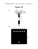 METHOD FOR SEQUENCING NUCLEIC ACID MOLECULES diagram and image