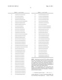 MULTI-PRIMER ASSAY FOR MYCOPLASMA DETECTION diagram and image