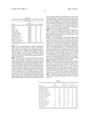 MULTI-PRIMER ASSAY FOR MYCOPLASMA DETECTION diagram and image