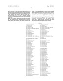 MULTI-PRIMER ASSAY FOR MYCOPLASMA DETECTION diagram and image