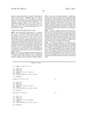 MULTI-PRIMER ASSAY FOR MYCOPLASMA DETECTION diagram and image